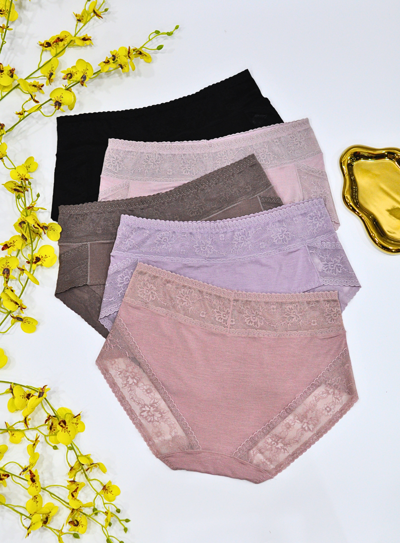 5 Pack Lisa Cotton with Lace Panties Bundle A