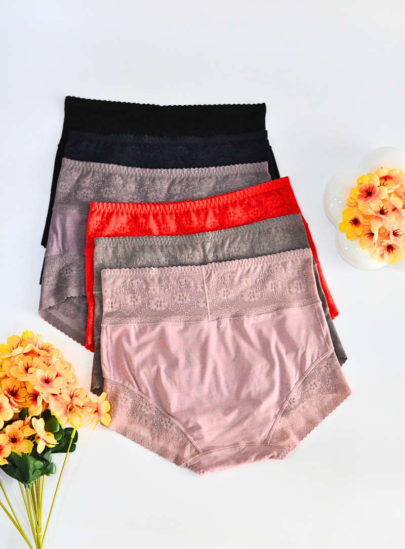 6 Pack Melina Cotton with Lace Panties Bundle B