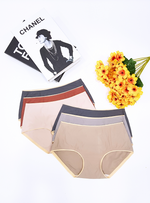 6 Pack Natalie Panties Bundle A