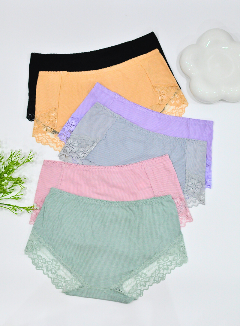 6 Pack Arya Panties Bundle D