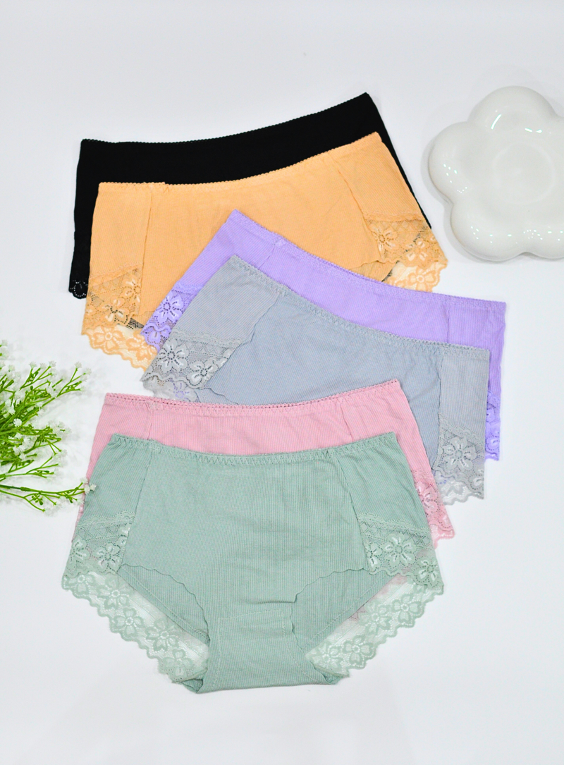 6 Pack Arya Panties Bundle D