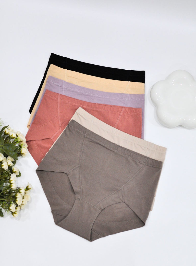 6 Pack Aurora Panties C