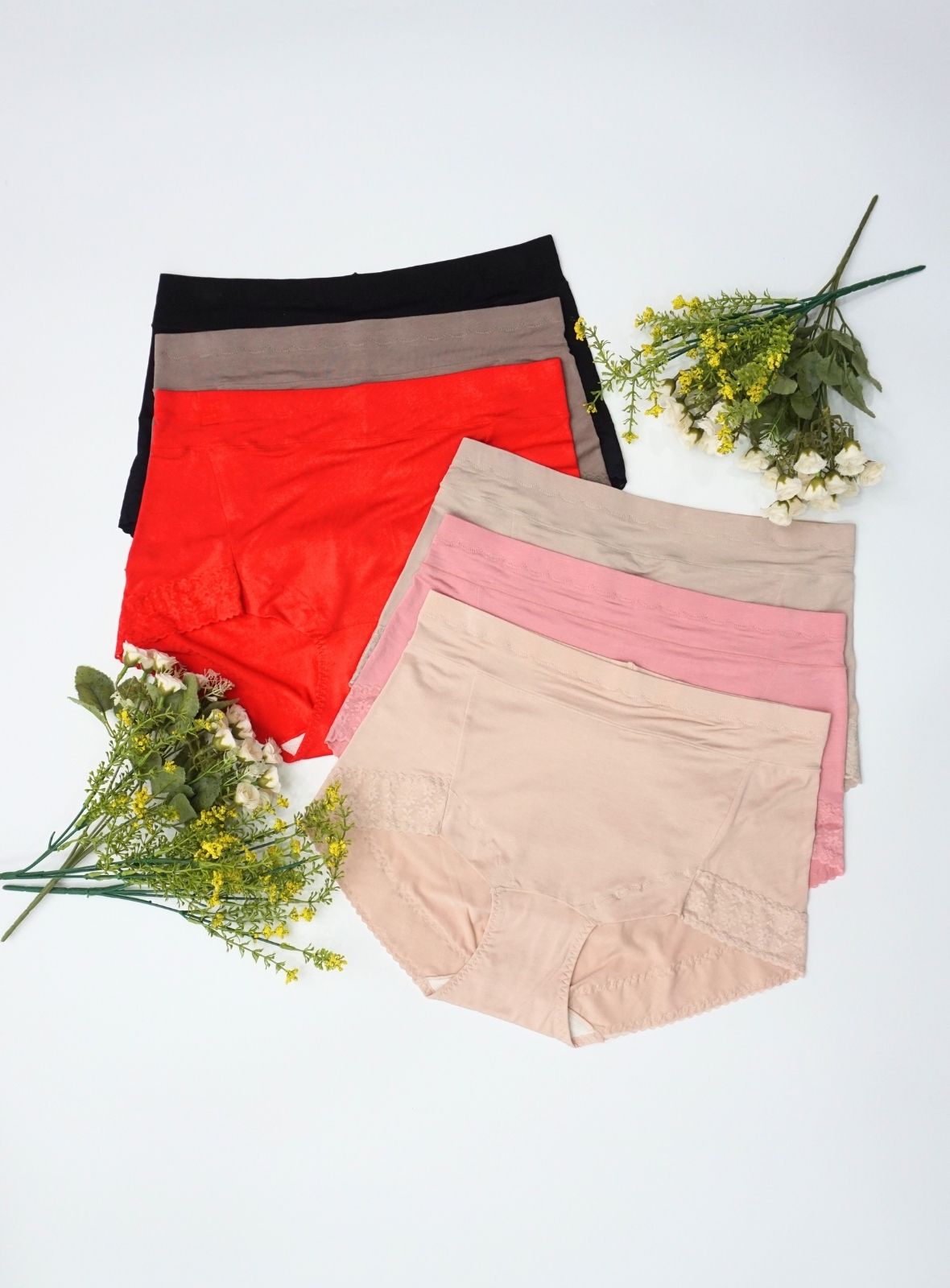 6 Pack Briella 2XL - 5XL Panties