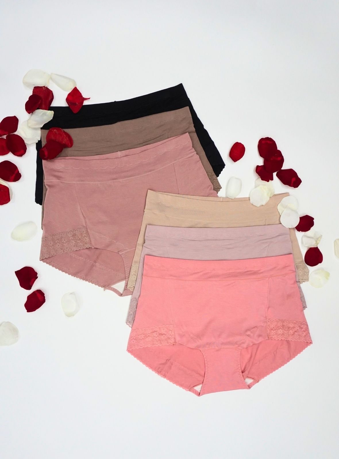 6 Pack Briella 2XL - 5XL Panties