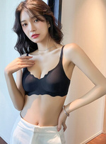 2 Pack Daisy Seamless Push Up Bra In Blue n Black
