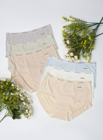 6 Pack Danna Silk Panties