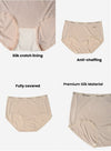 6 Pack Danna Silk Panties
