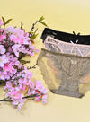 3 Pack Elora Sexy Brief Lace Panties Bundle C