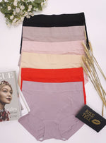 6 Pack Esther Plus Size Panties B