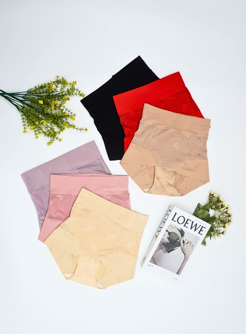 6 Pack Lyra Shaping Panties B