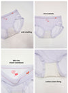 6 Pack Mimi Sheer Panties