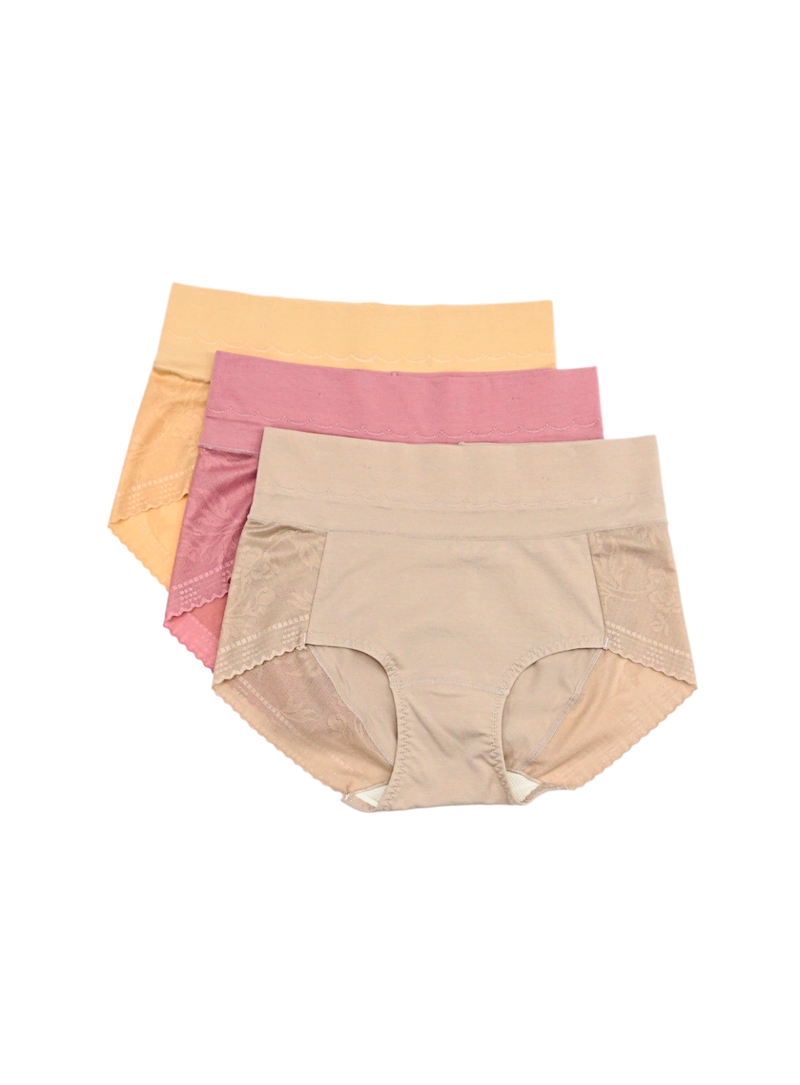 3 Pack Noelle High Waisted Cotton with Lace Panties Bundle A
