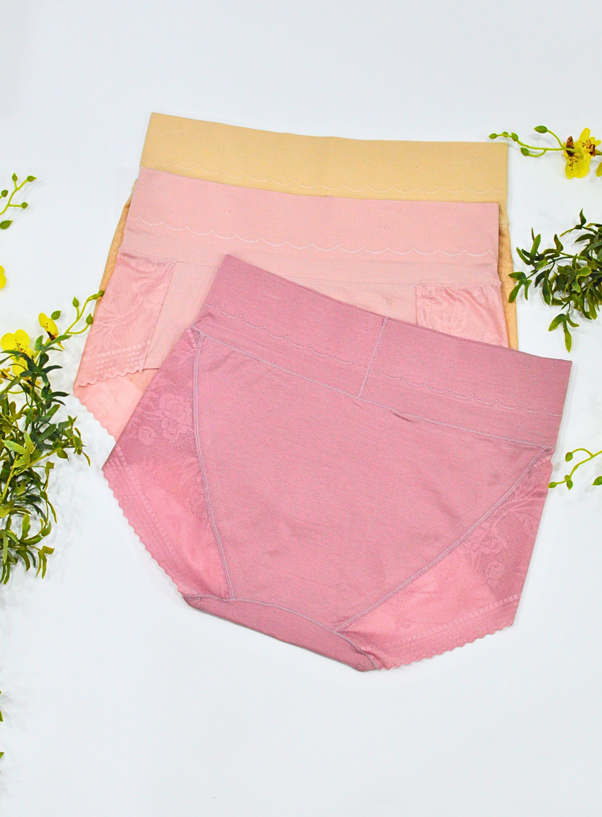 3 Pack Noelle High Waisted Cotton with Lace Panties Bundle B
