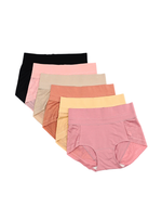 6 Pack Noelle High Waisted Cotton with Lace Panties Bundle A