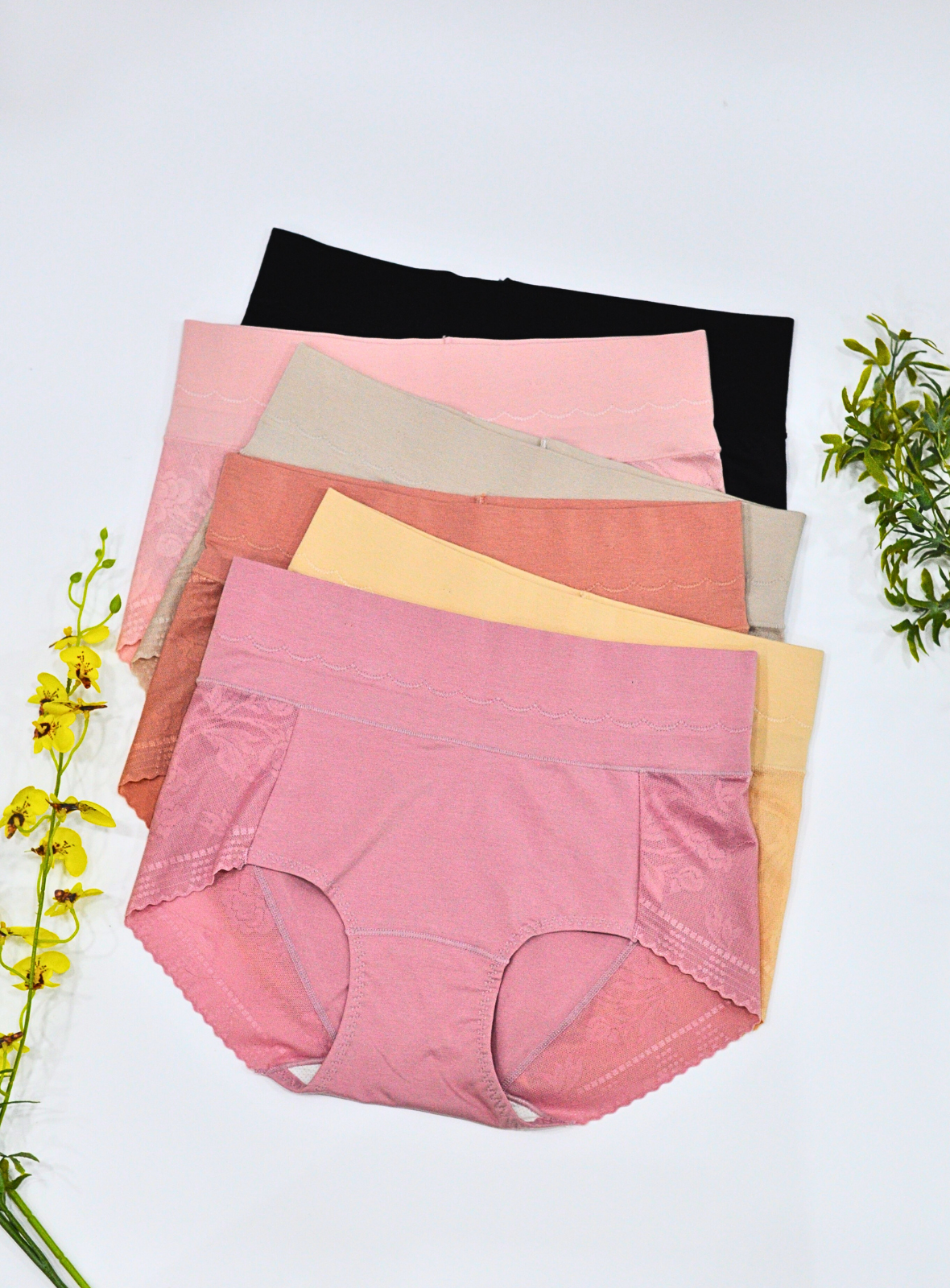 6 Pack Noelle High Waisted Cotton with Lace Panties Bundle A