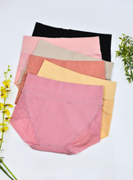 6 Pack Noelle High Waisted Cotton with Lace Panties Bundle A