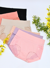 6 Pack Noelle High Waisted Cotton with Lace Panties Bundle B