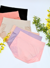 6 Pack Noelle High Waisted Cotton with Lace Panties Bundle B