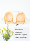 2 Pack Butterfly Seamless Bra and Plunging Push Up Nubra in Nude
