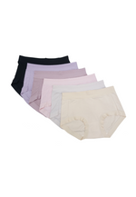 6 Pack Sophie Cotton Lace Panties Bundle A